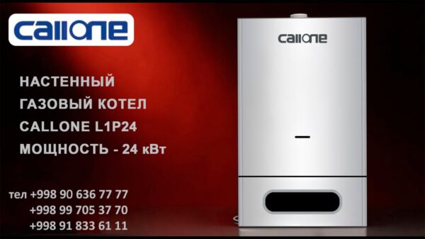 photo_2025-07-22_16-33-57 Настенный газовый котел CALLONE L1P24